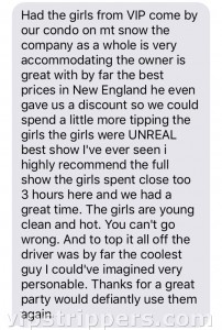 Mount snow strippers