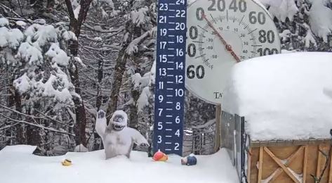 Check out the live snow stake at Mount Snow