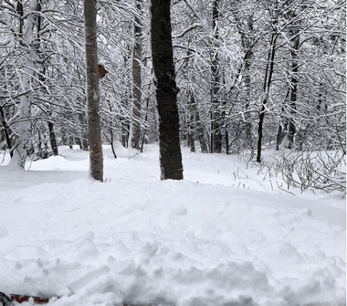 Social media posts from Mount Snow