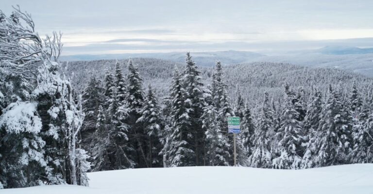 Update from Mount Snow